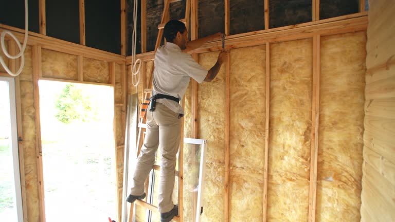 Best Attic Insulation Installation  in Estill, SC